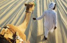 Qatar-tourism-law